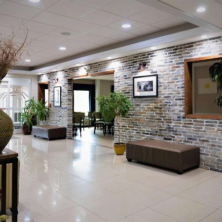 Days Inn & Suites By Wyndham Savannah North I-95 Port Wentworth Eksteriør billede